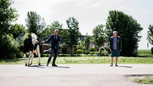 Episodio 10