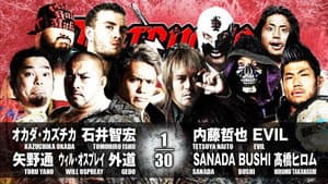 NJPW Destruction in Hiroshima 2017 — foto 4