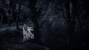 Twixt — foto 5