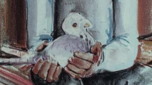The Pigeon Cree — foto 1