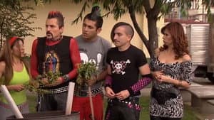 Episodio 77