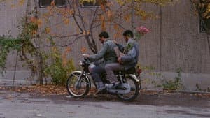 کلوزآپ ، نمای نزدیک — foto 3