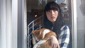 猫、かえる — foto 2