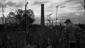 A Grande Torre — foto 2