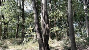 Statusbericht — foto 3