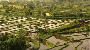 Living Landscapes: Bali — foto 1