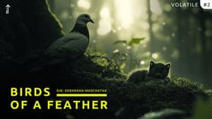 Volatile: Birds of a Feather — foto 1