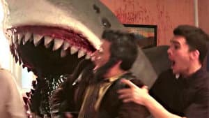 House Shark — foto 3