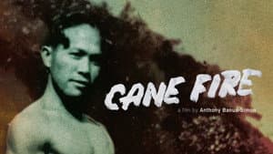 Cane Fire — foto 2