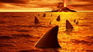 Sharkcano — foto 1