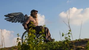 A Bicicleta do Vovô — foto 1