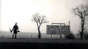 Nemirni — foto 2
