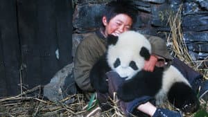 El Camino del Panda — foto 1