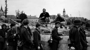 Verstörung - und eine Art von Poesie. Die Filmlegende Bernhard Wicki — foto 2