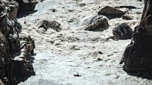 Big water theory — foto 2