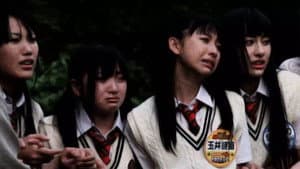 シロメ — foto 2