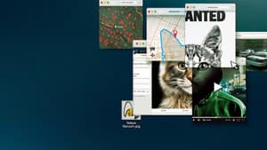 No te metas con los gatos: Un asesino en internet — foto 1