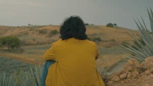 Agaves al alba — foto 1