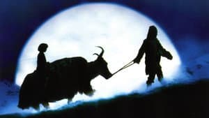 Himalaya - l'enfance d'un chef — foto 2