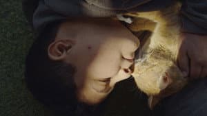 Kedi Adam — foto 3