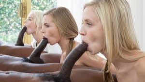 Interracial Orgies — foto 3
