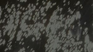 EVE — foto 2