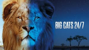 Big Cats 24/7 — foto 2
