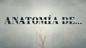 Anatomía de... — foto 2