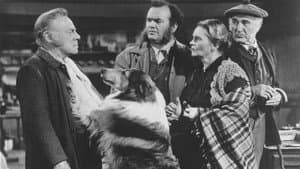 El mundo de Lassie — foto 2