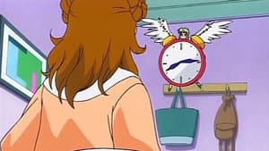 Episodio 13