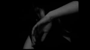 Metamorphosis — foto 1
