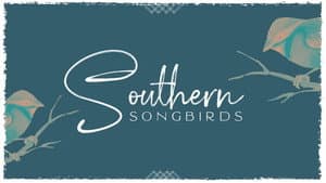 Southern Songbirds — foto 2