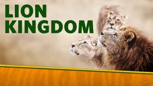Lion Kingdom — foto 4