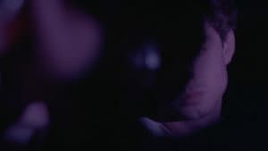 Salvaje — foto 3