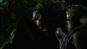 Orang Ikan — foto 3