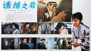 诱捕之后 — foto 1