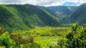 Hawái Salvaje — foto 4