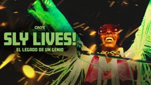 SLY LIVES! (aka The Burden of Black Genius) — foto 5