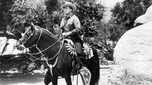 Overland Telegraph — foto 1