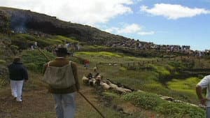 Episodio 3