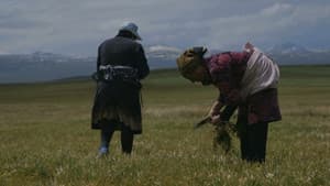 Կանանց Գյուղը — foto 1