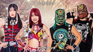 第15回 ゴッデス・オブ・スターダム ～タッグリーグ決勝トーナメント～ in OSAKA — foto 6