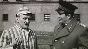 Özvegy menyasszonyok — foto 1
