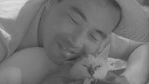 猫と庄造と二人のをんな — foto 1