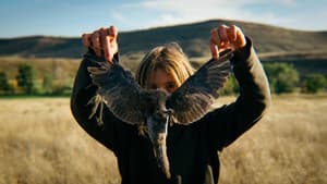 Bird Dog — foto 1