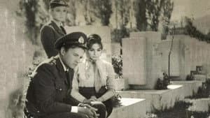 Şafak Bekçileri — foto 5