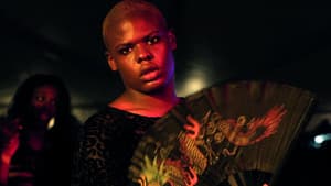 Kiki — foto 1