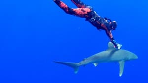 World's Most Dangerous Shark? — foto 2