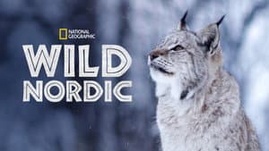 Wild Escandinavia — foto 2