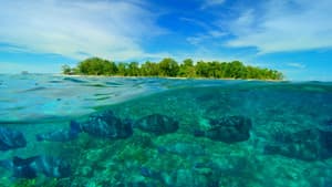 Earth's Great Rivers II — foto 5